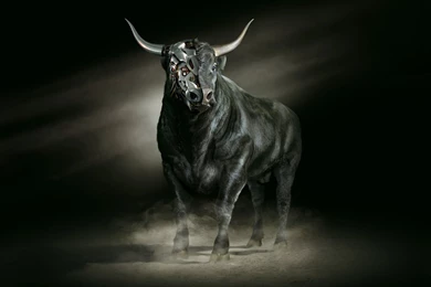 Black Robot Bull Wallpapers