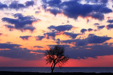 Desktop Wallpapers · Gallery · Nature · Nature Poems And Poetry ...