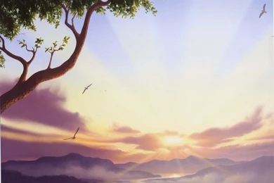 Blank Backgrounds For Poems   Google Search