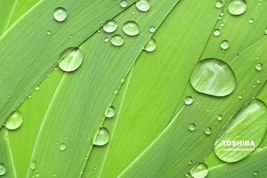 HQ Movies Toshiba Blu Ray Wallpaper, HQ Backgrounds