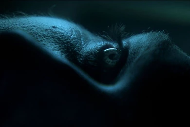 Blu Ray Wallpapers   ImgMob