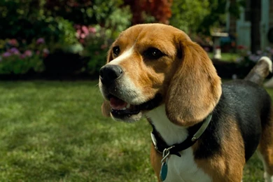 Trololo Blogg: Wallpapers Hd Blu Ray