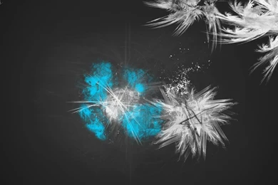 Ice Cold Wallpapers HD 1920x1080