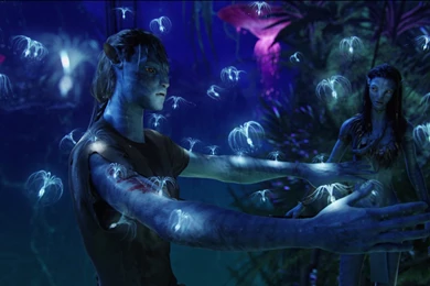 Avatar Bluray Wallpapers » WallDevil   Best Free HD Desktop And ...