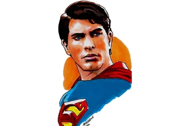 Superman Returns Fan Wallpapers   Superman Returns Wallpapers ...