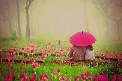 Boy girl couple umbrella rain flowers garden pink.jpg