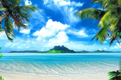 Tropical Beach Backgrounds Wallpapers In 2560x1440