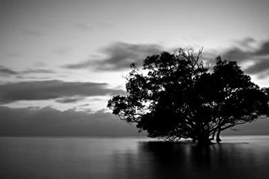 New Windows 8 HD Backgrounds