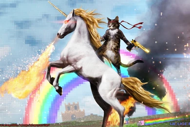 Most Awesome Wallpapers   Wallpapers Zone