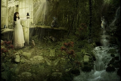 Enchanted Dark Forest Wallpapers