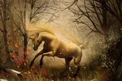 Magical Forest Wallpapers The Enchanted Forest