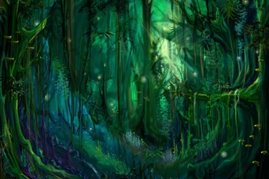 Enchanted Dark Forest Wallpapers