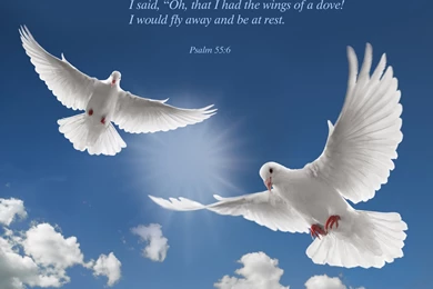 Hd wallpapers religious 10 23269 HD Wallpapers