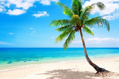 Tropical Beach Wallpapers   HD Great Images