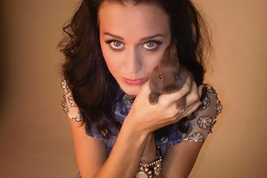 Katy Perry Wallpapers   Katy Perry Wallpapers (36923804)   Fanpop