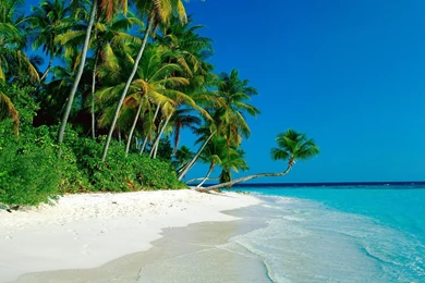 Tropical Island Beaches   Wallpaper.