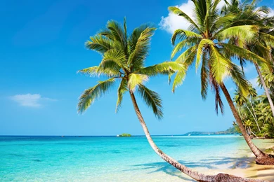 Tropical Beach Thailand Ultra Hd Wallpapers Uhd Wallpapers Net ...