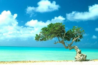 Tropical Beach Wallpapers 056, Free Desktop Wallpapers, Cool Wallpapers