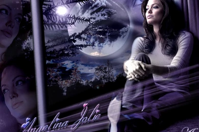 8564) Angelina Jolie Tomb Raider HD Desktop Wallpapers   WalOps.com