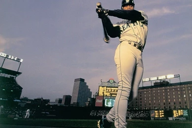 Baseball Player With Bat