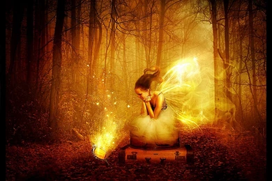 352 Fairy HD Wallpapers