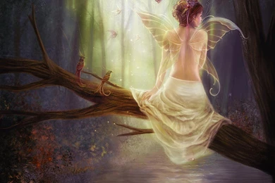 21+ Fairy Wallpapers, Fantasy Fairy Backgrounds, Images, Pictures ...