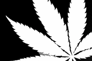 Large Weed Leaf Wallpapers Archives   WeedPad Wallpapers