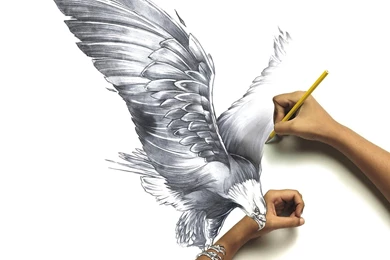 ART PAINTING EAGLE WALLPAPER   (