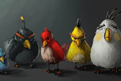 Paint Art Angry Birds Hd Wallpapers   HD Wallpapers
