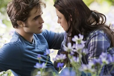 Twilight Movie Lovers Wallpapers, HD Desktop Wallpapers