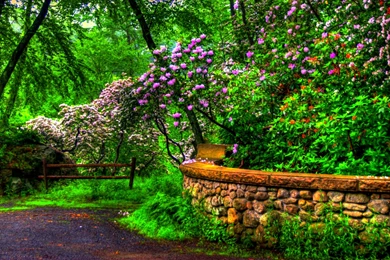 Dream Spring 2012   Spring Beauty Wallpapers   HD Wallpapers 96881