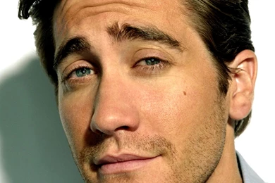 Funny Face Images   Wallpapers HD Wide