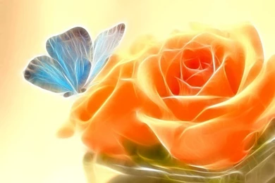 Latest Wallpapers For Mobile   Wallpapers Zone