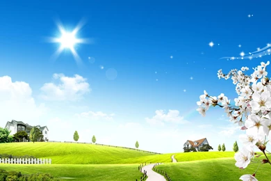 Download Beautiful Latest HD Wallpapers 640x546   Full HD Wall