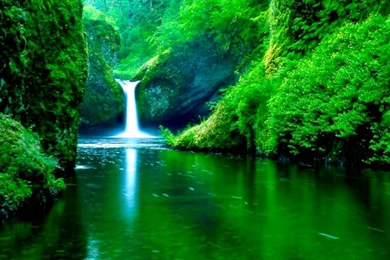 Latest Wallpapers Download