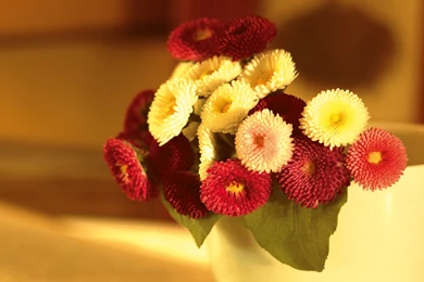 HD Latest Wallpapers