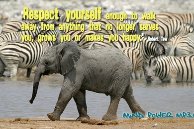 Words Of Wisdom And Cute Inspirational Wallpapers – Final ...