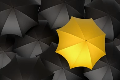 Black Yellow Wallpapers