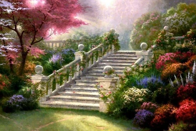 Computer Desktop Backgrounds HD