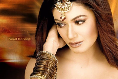 Payal Rohatgi Wallpapers   (1024x768) : Indya101.com