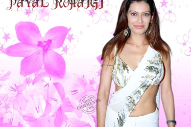 Payal Rohatgi Wallpapers