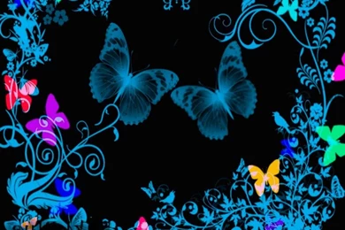 Butterfly Wallpapers HD   Android Apps On Google Play
