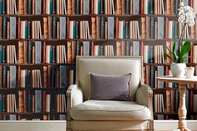 Bookcase Wallpapers