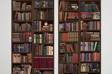 Bookcase Self Adhesive Wall Mural By Oakdene Designs ...