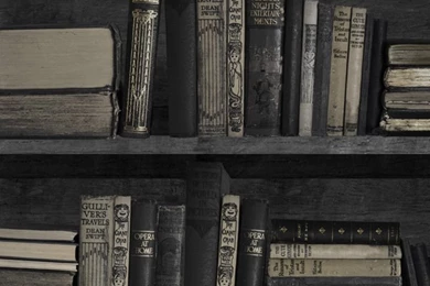 Dark Bookcase Wallpapers By Young Battaglia 2.5m Length
