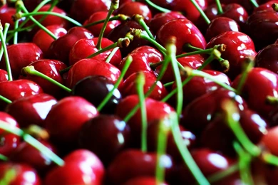 Cherry Wallpapers Collection (42+)