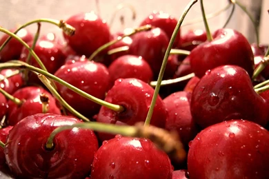 Beautiful Cherry Wallpapers