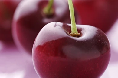 Cherry HQ Wallpapers