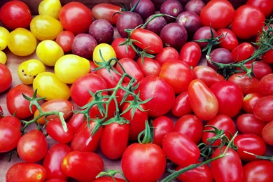 Tomatoes Cherry Wallpaper,tomatoes Wallpapers HD Wallpaper,cherry ...