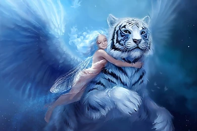 Fairy Wallpapers 321 Free Wallpapers   Hivewallpaper.com